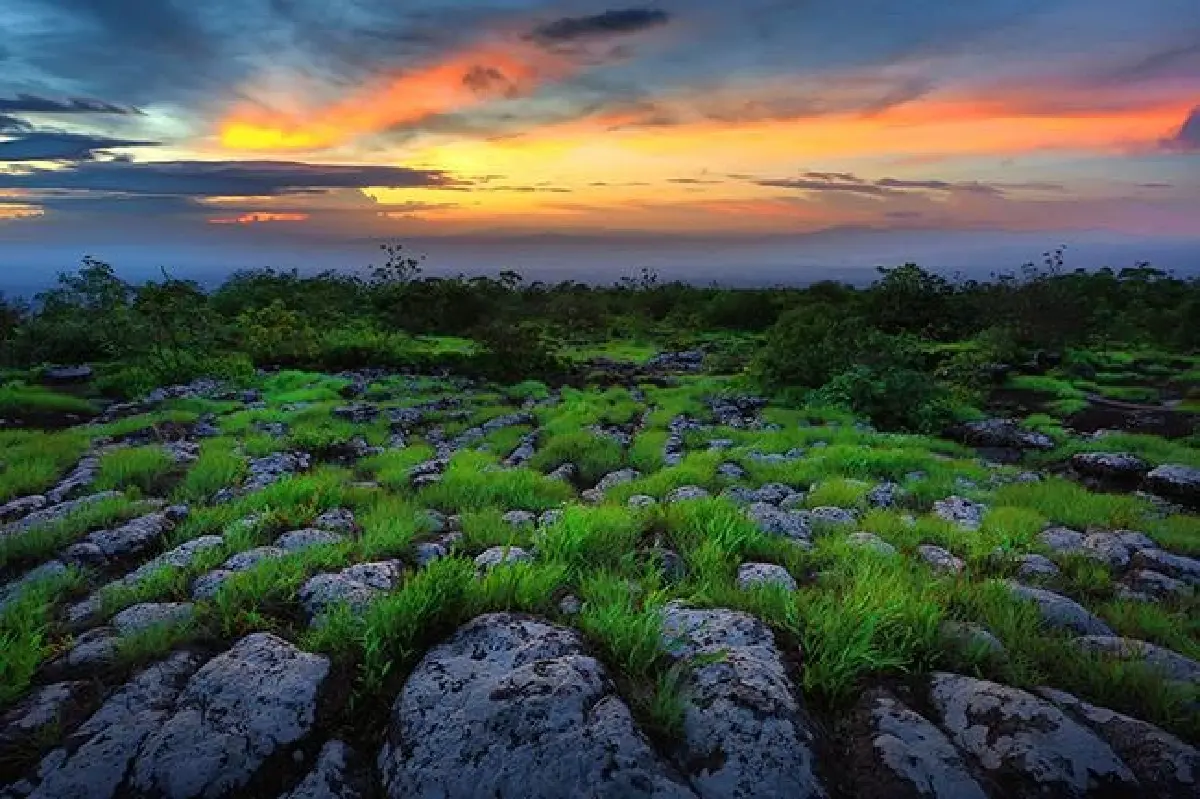 ชวนเที่ยว 'ภูหินร่องกล้า' สัมผัสลมหนาว ชมพระอาทิตย์ขึ้น ทะเลหมอกยามเช้า