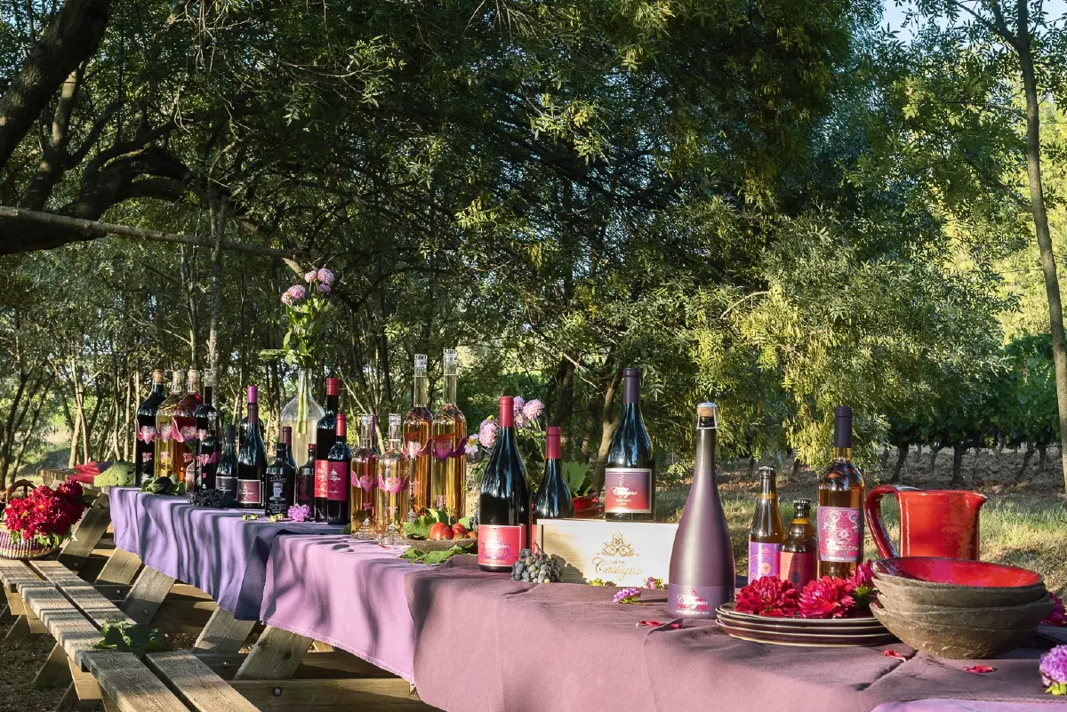 ‘คาสติญโญ’ อาณาจักรไวน์และความฝัน ของ ‘มาร์ค เวอร์สแตรท’