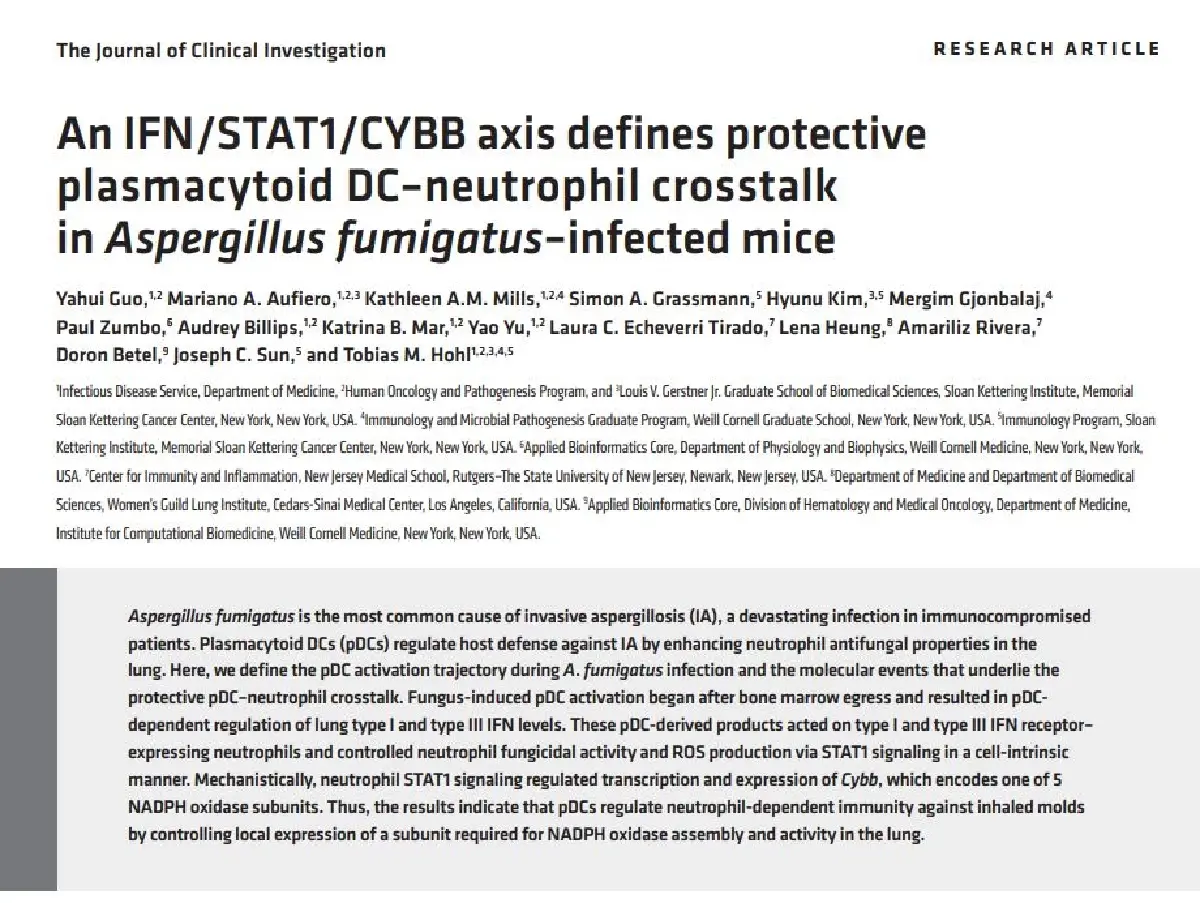 เชื้อจุลินทรีย์ 'หงส์ไทย สูตร2' เสี่ยงติดเชื้อรา ส่งผลระบบทางเดินหายใจ