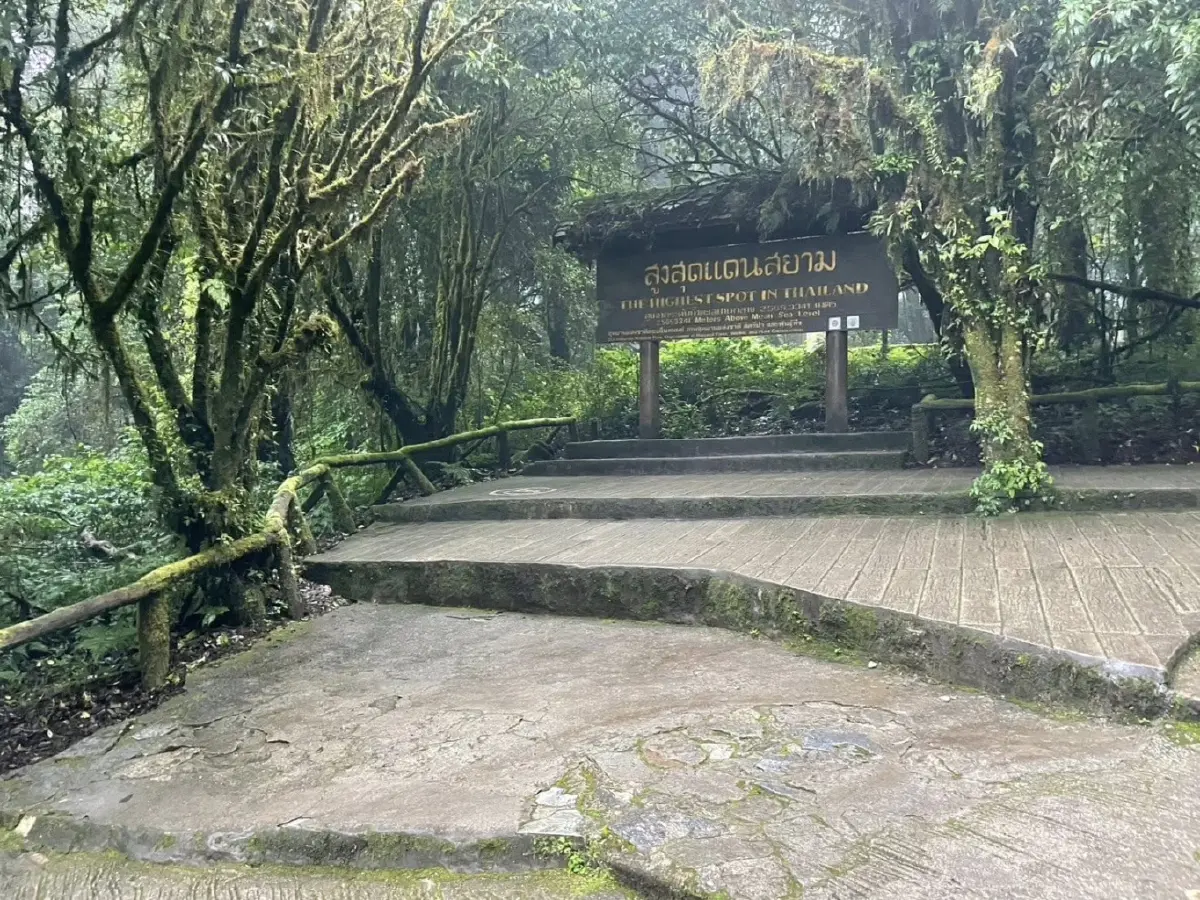 หนาวแล้ว ดอยอินทนนท์ 11°C หมอกลงจัด นักท่องเที่ยวฟินก่อนวันหยุด