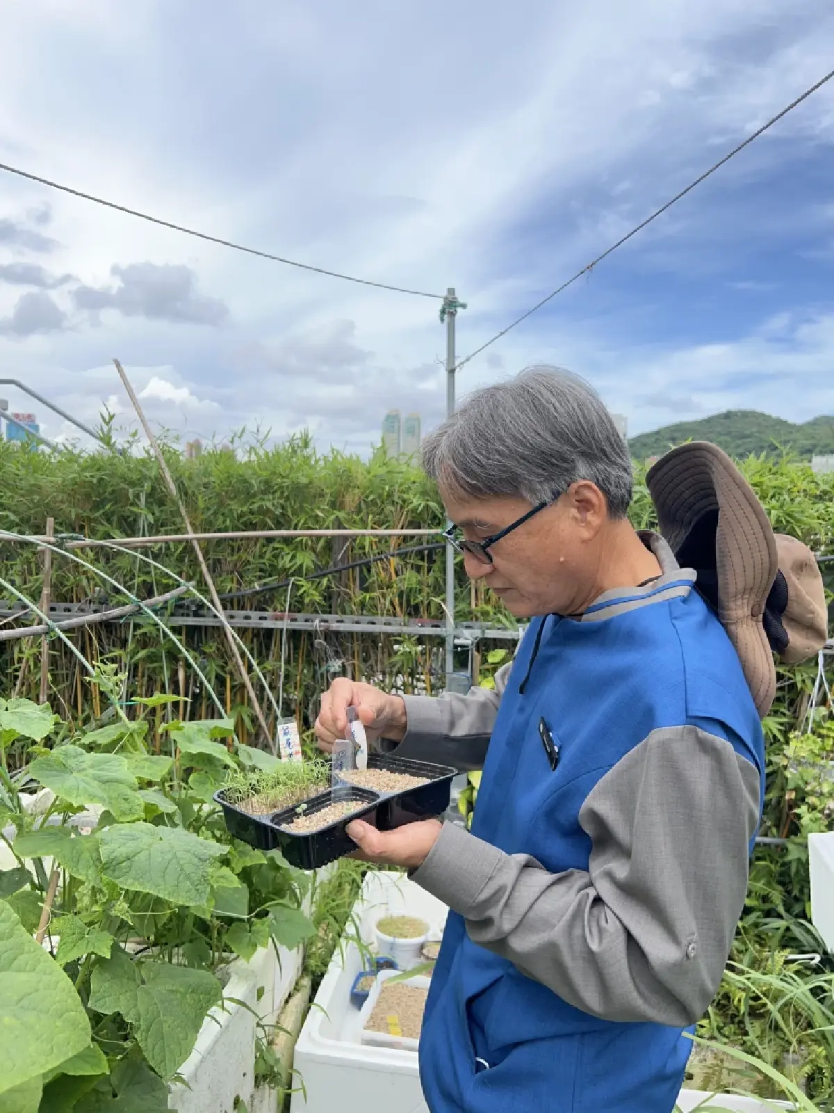 ‘เที่ยวฮ่องกง’ พักที่ ‘The Park Lane Hong Kong’ สะดวกสบาย