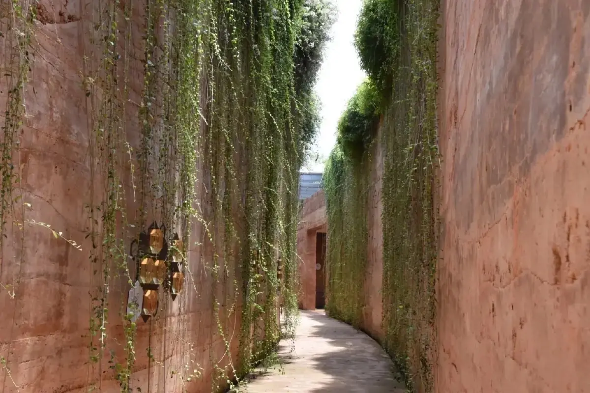 สวนพักใจในกรุงเทพ สุนทรียะที่มีต้นไม้ใหญ่ให้พิงหลัง