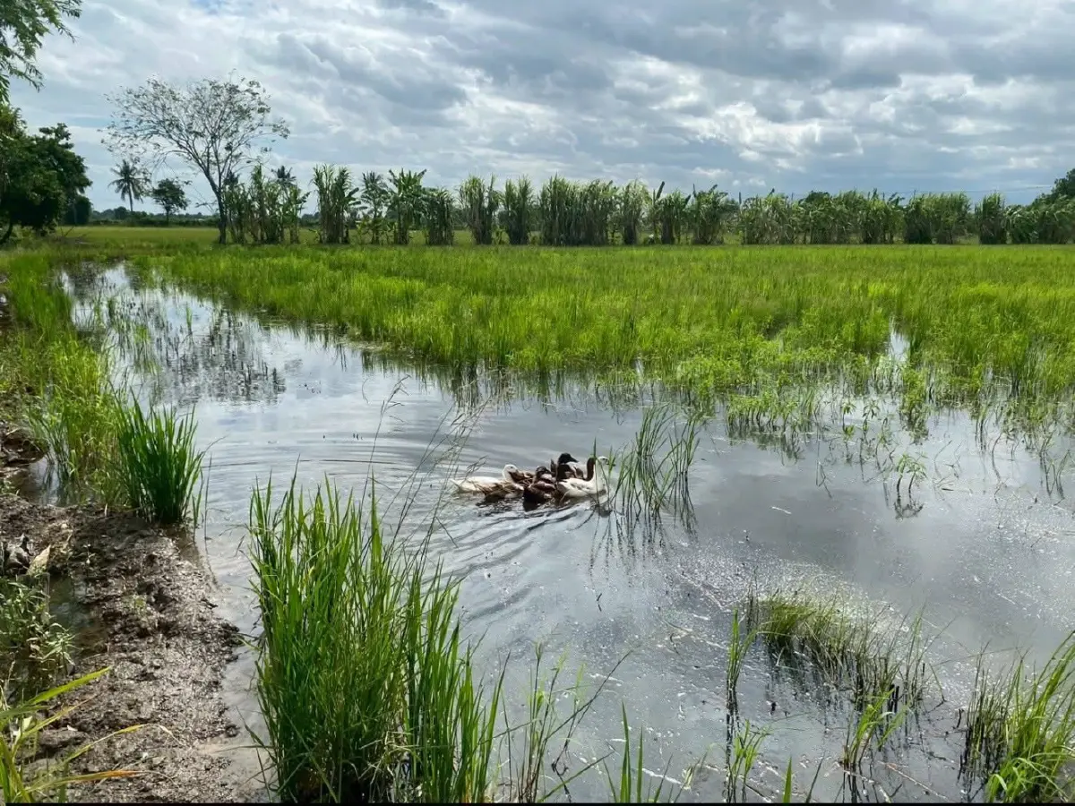 ส.ป.ก.MOU ม.เกษตรฯ ร่วมพัฒนาบุคลากร ยกระดับการปฏิบัติงานอย่างมีประสิทธิภาพ