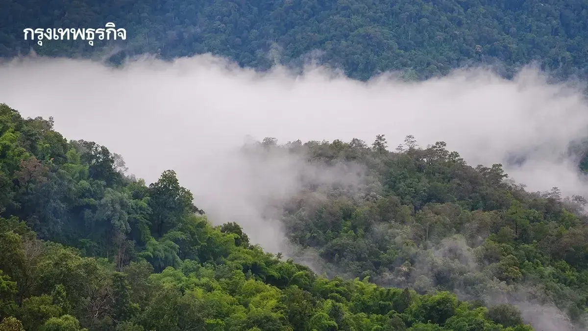 สภาพอากาศวันนี้ เตือน ฝนลงใต้ ฝนตกหนัก เหนือ-อีสาน อากาศเย็น 17°C