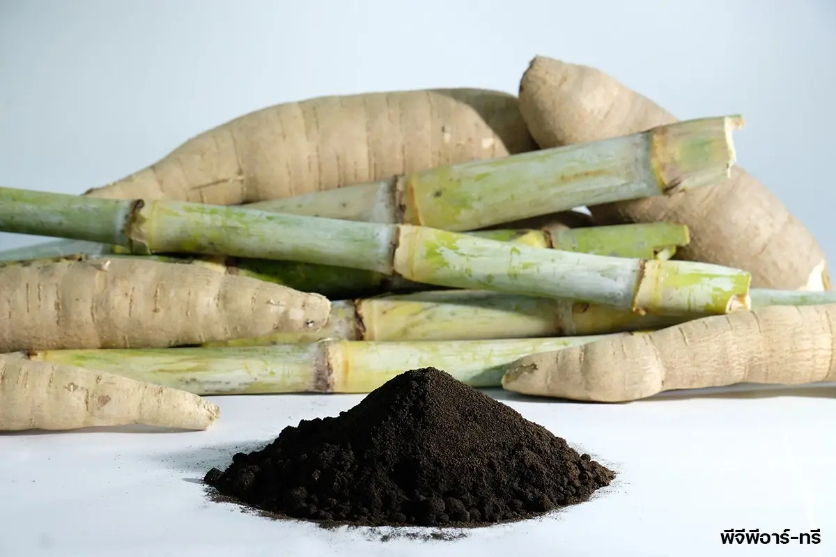 กรมวิชาการเกษตร เปิด 3 ปุ๋ยตัวท็อป เอกชนลุยผลิตเชิงพาณิชย์  ​​​​​​​​​​​​​​​​