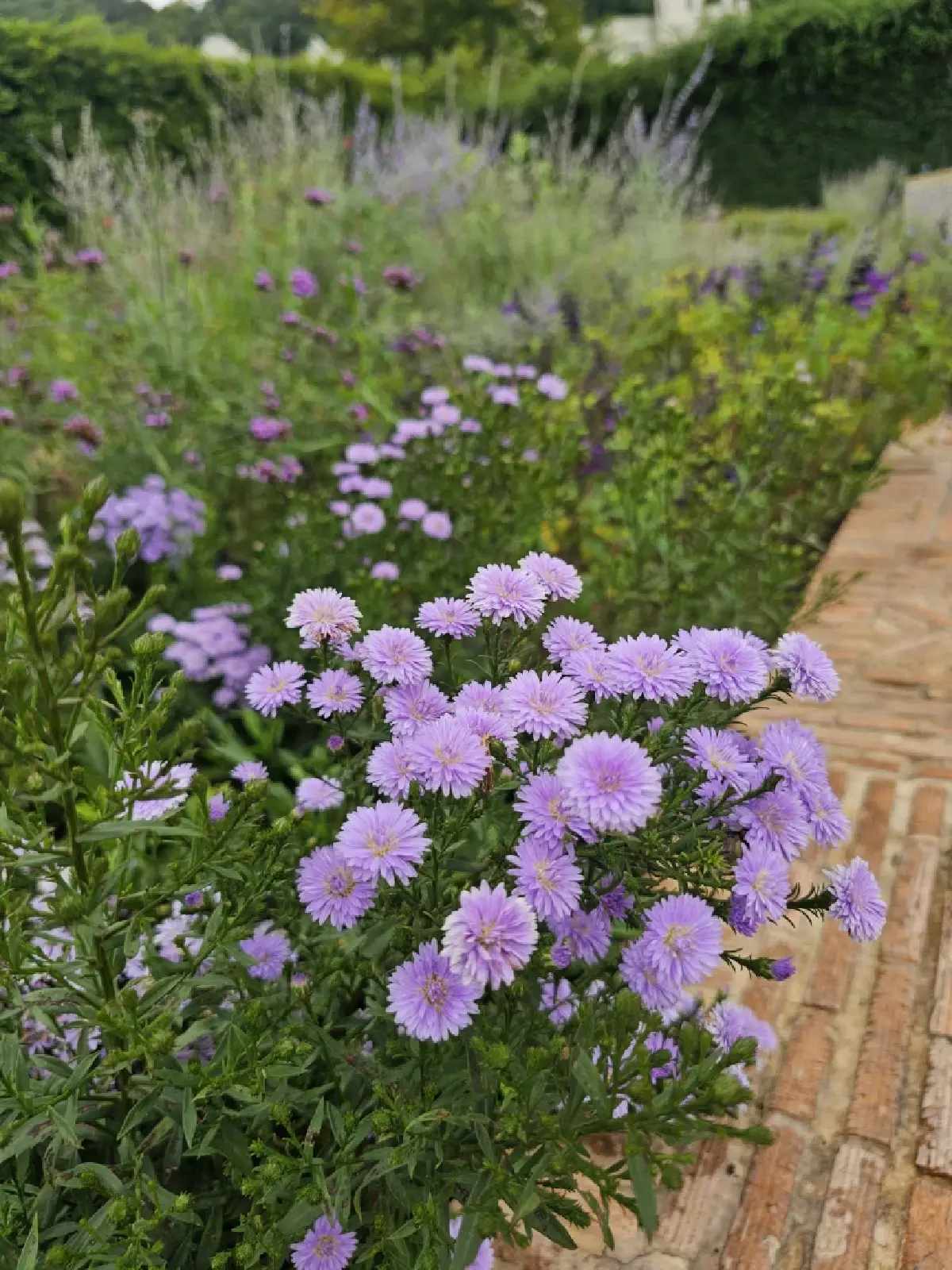 ‘Maison Mystique’ พระราชวัง แห่งจินตนาการ ท่ามกลางขุนเขา