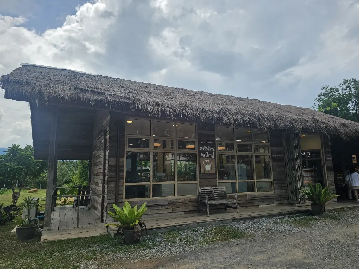 อร่อย สุขภาพดี ที่ ‘ตาวีฟาร์ม’ เขาใหญ่ ผักสดจากแปลงเก็บทุกเช้า