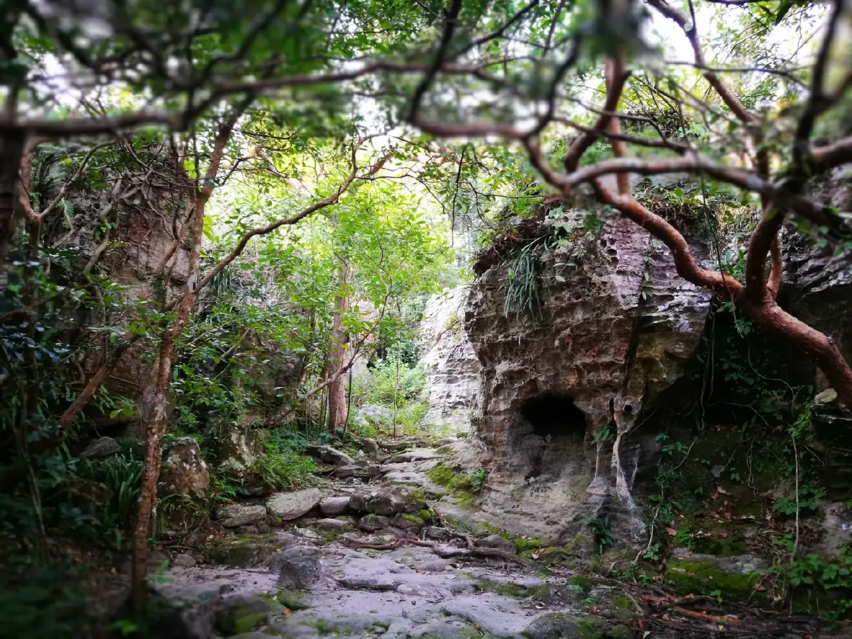 ดินแดนสงบและความพิศวงทางธรณี... วัดเขาประตูชุมพล