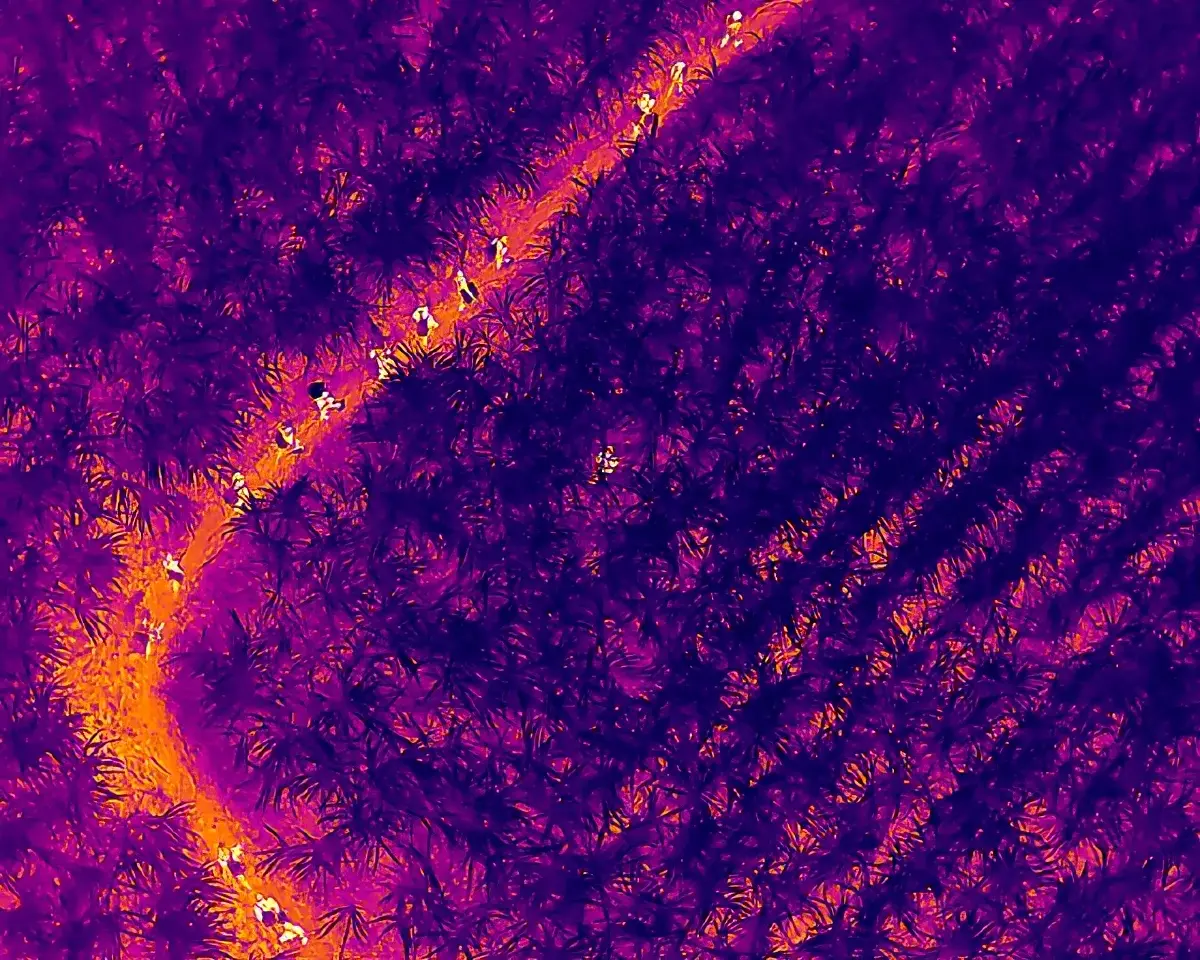 จ่ายคนละ 7,000 เขมรอดยากลอบเข้าไทย โดรนทหารจับคาไร่อ้อย