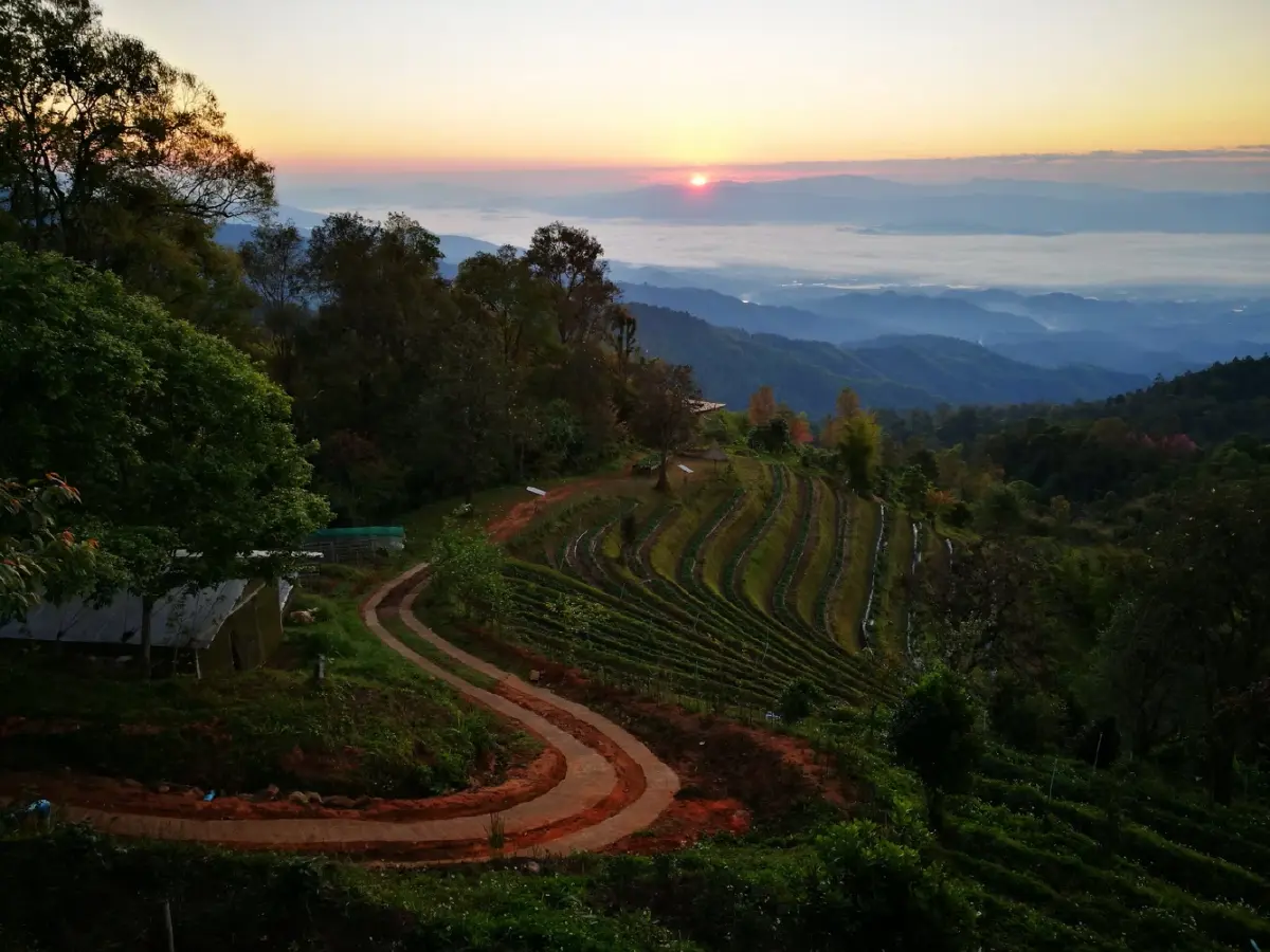 บ้านเล็กในป่าใหญ่ ฟ้าห่มปก เมื่อฟ้าปกเกล้าชาวไทยภูเขา