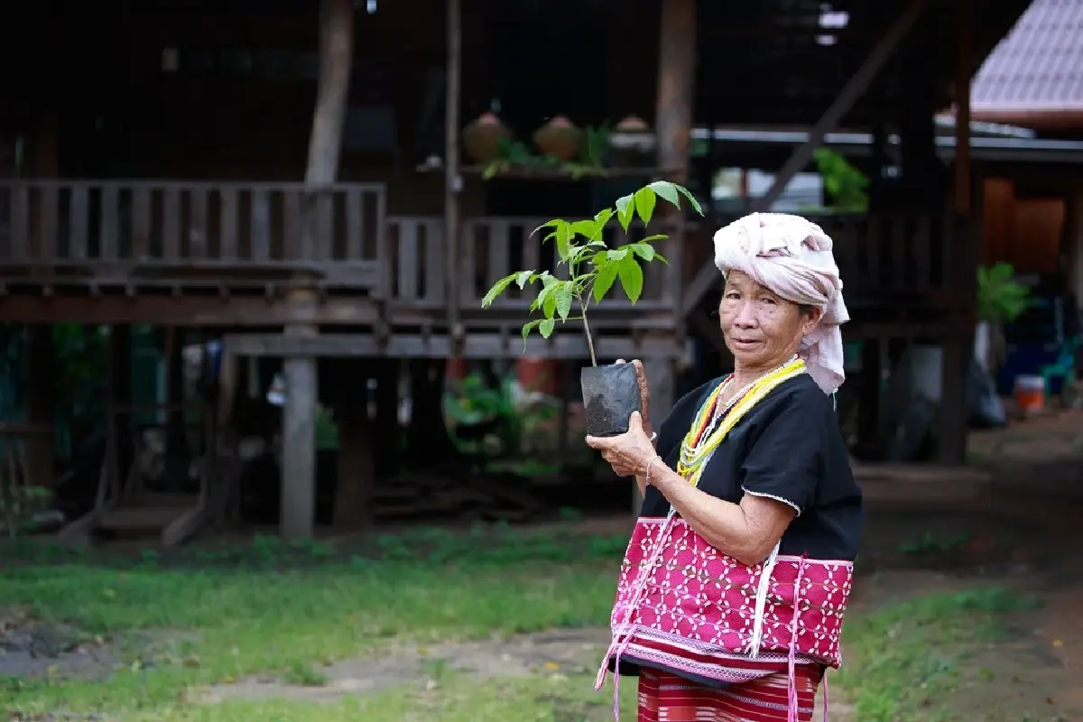 ชวนไปอาบป่า เที่ยวขุนขาน บ่อแก้ว สะเมิง ลิ้มรสอาหาร 4 ชนเผ่า