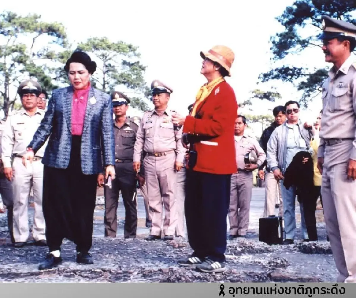ตามรอย ต้นสนสามพันปี บนยอดภูกระดึง พระราชปณิธานสีเขียว 'สมเด็จพระพันปีหลวง'