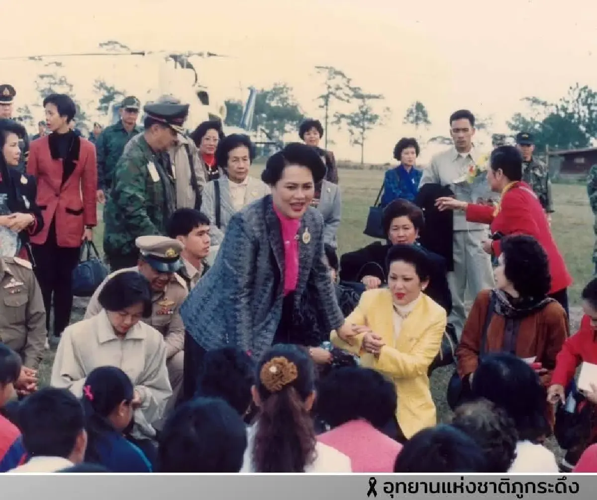 ตามรอย ต้นสนสามพันปี บนยอดภูกระดึง พระราชปณิธานสีเขียว 'สมเด็จพระพันปีหลวง'