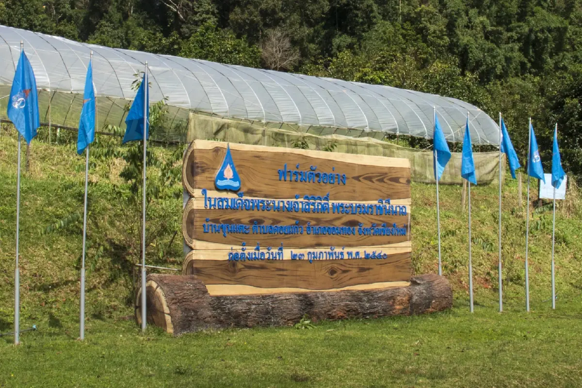 'ขาดทุนของฉัน คือกำไรของแผ่นดิน' พระราชดำรัสพระพันปีหลวง สะท้อนหลักคิดทรงงานพัฒนาเพื่อคนไทย