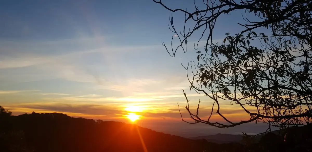 หนาวแล้ว ดอยอินทนนท์ 11°C หมอกลงจัด นักท่องเที่ยวฟินก่อนวันหยุด