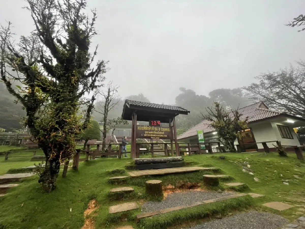 หนาวแล้ว ดอยอินทนนท์ 11°C หมอกลงจัด นักท่องเที่ยวฟินก่อนวันหยุด