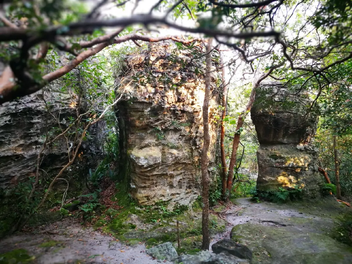 ดินแดนสงบและความพิศวงทางธรณี... วัดเขาประตูชุมพล