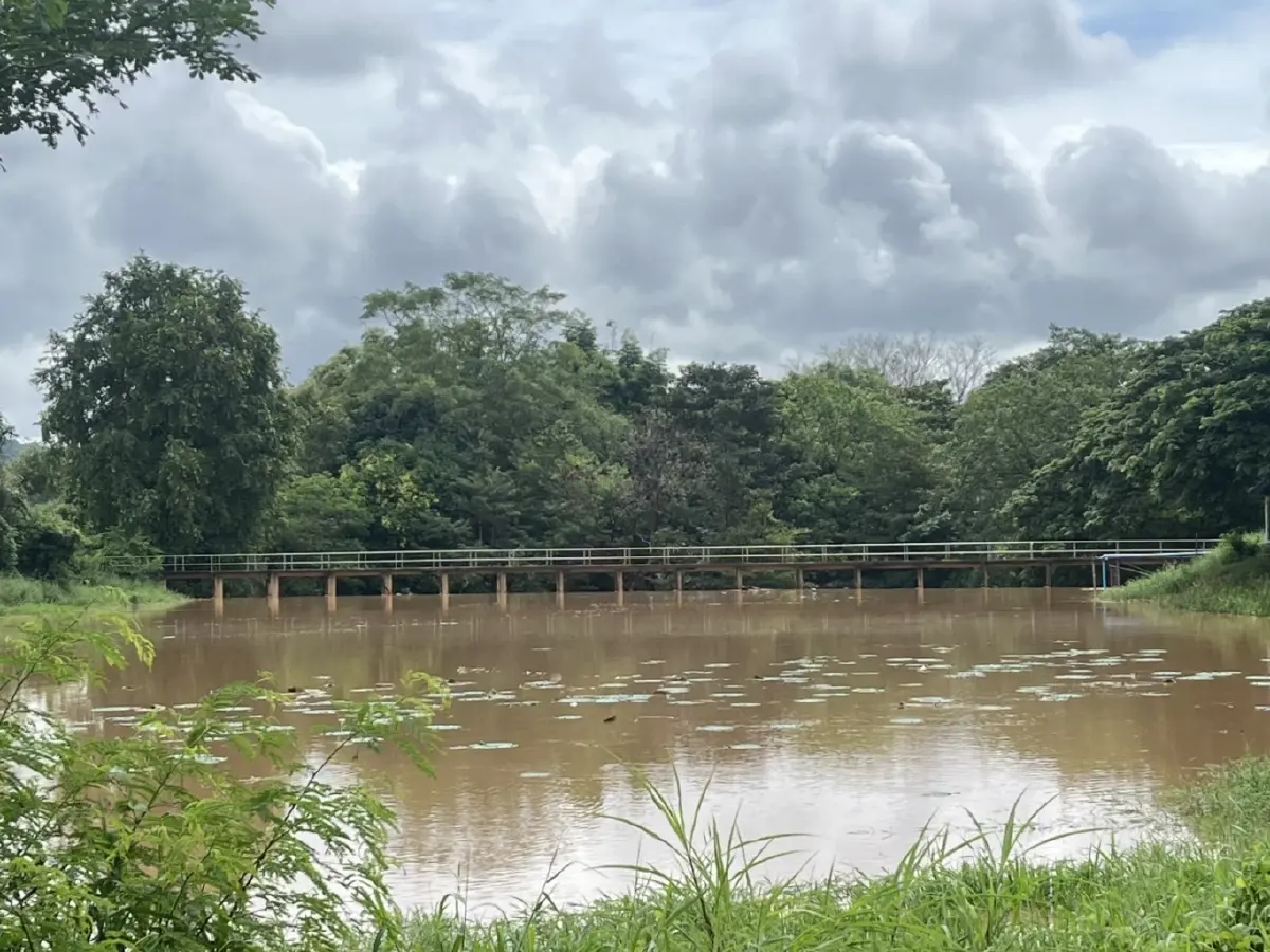 สภาพอากาศวันนี้ อุตุ เตือน 38 จังหวัดมีฝนฟ้าคะนอง กทม.ฝนตกหนัก 60%