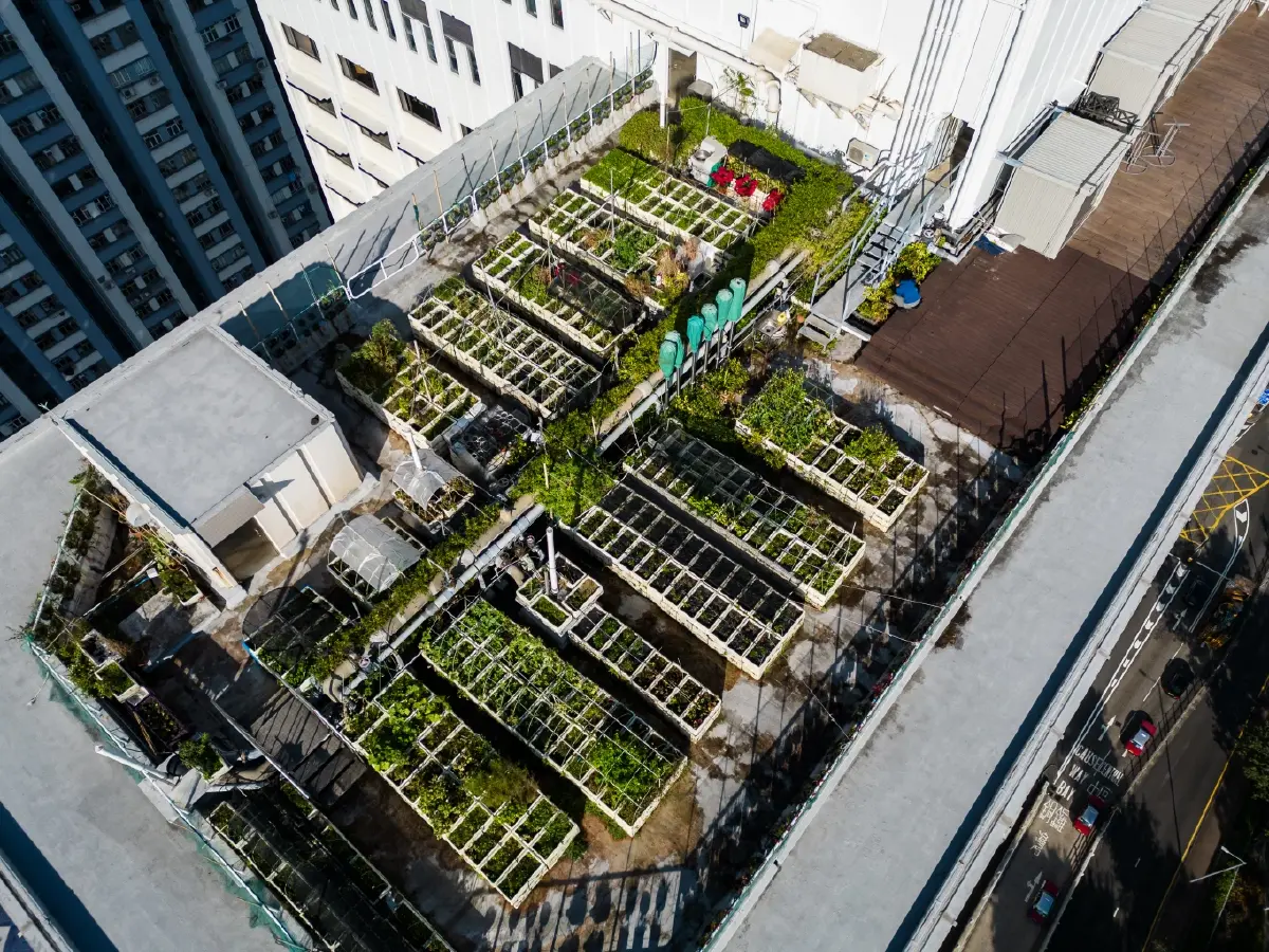 ‘เที่ยวฮ่องกง’ พักที่ ‘The Park Lane Hong Kong’ สะดวกสบาย