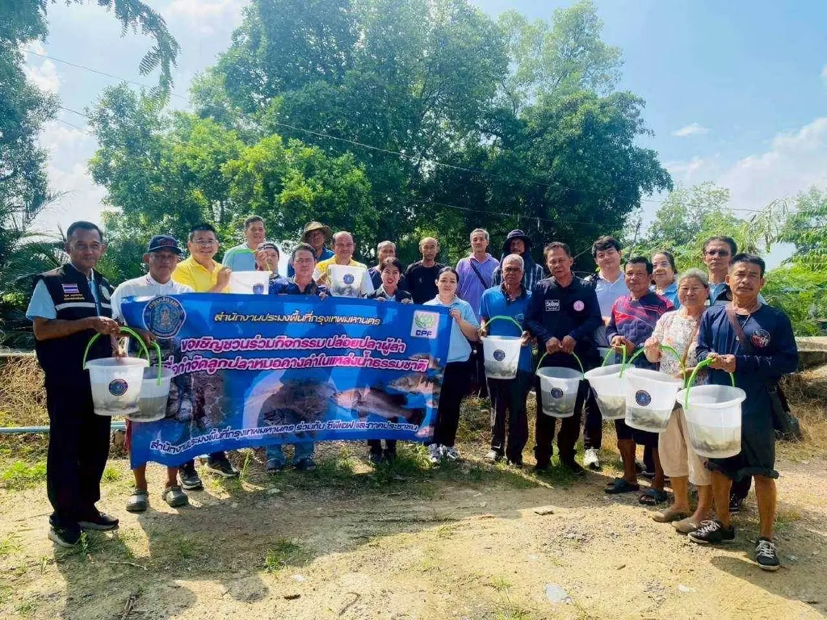 กรมประมง ปล่อย 'ปลานักล่า' ต่อเนื่อง บูรณาการคุมเข้ม 'ปลาหมอคางดำ'