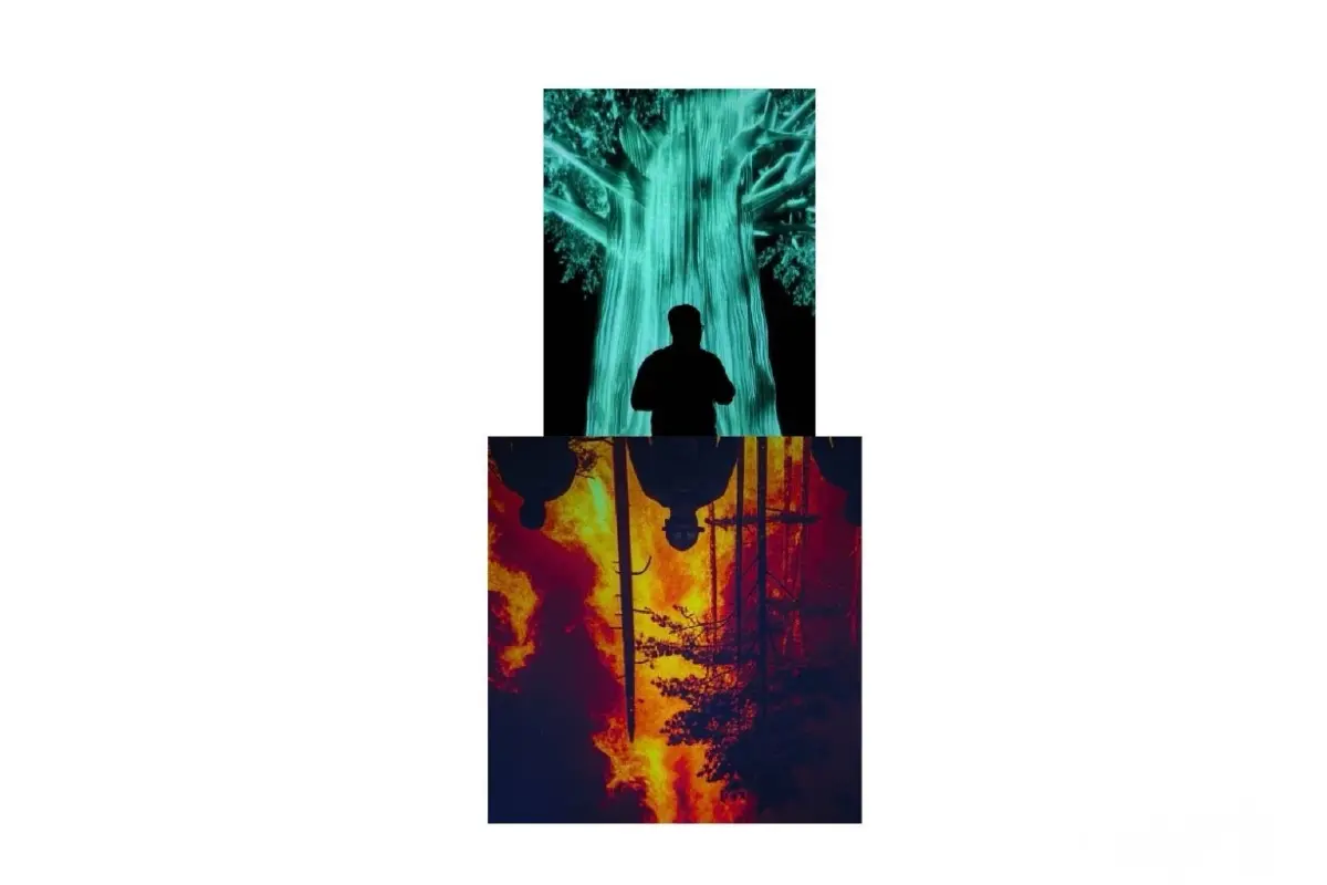 ประกาศผลรางวัลกิจกรรมแข่งขันถ่ายภาพ DUO SHOTS KNOCKOUT X eisa ครั้งที่ 2