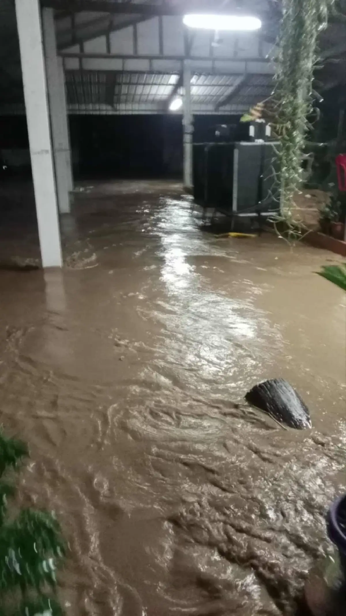 ฝนตกหนักพิษณุโลก น้ำป่าไหลหลาก ท่วมเนินมะปราง-ไฟดับ อ่วม 100 หลัง