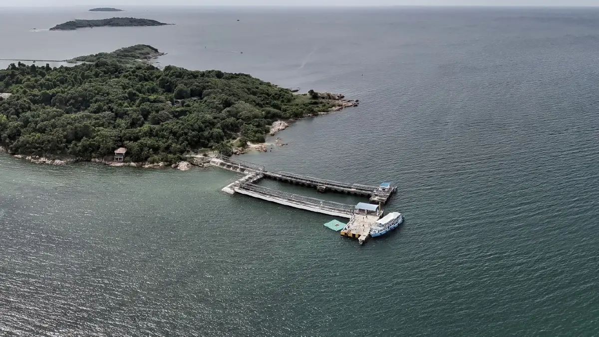 สมเด็จพระพันปีหลวง ทรงห่วงใย ‘เต่าทะเล’ ยก ‘เกาะมันใน’ ให้เป็นศูนย์อนุรักษ์