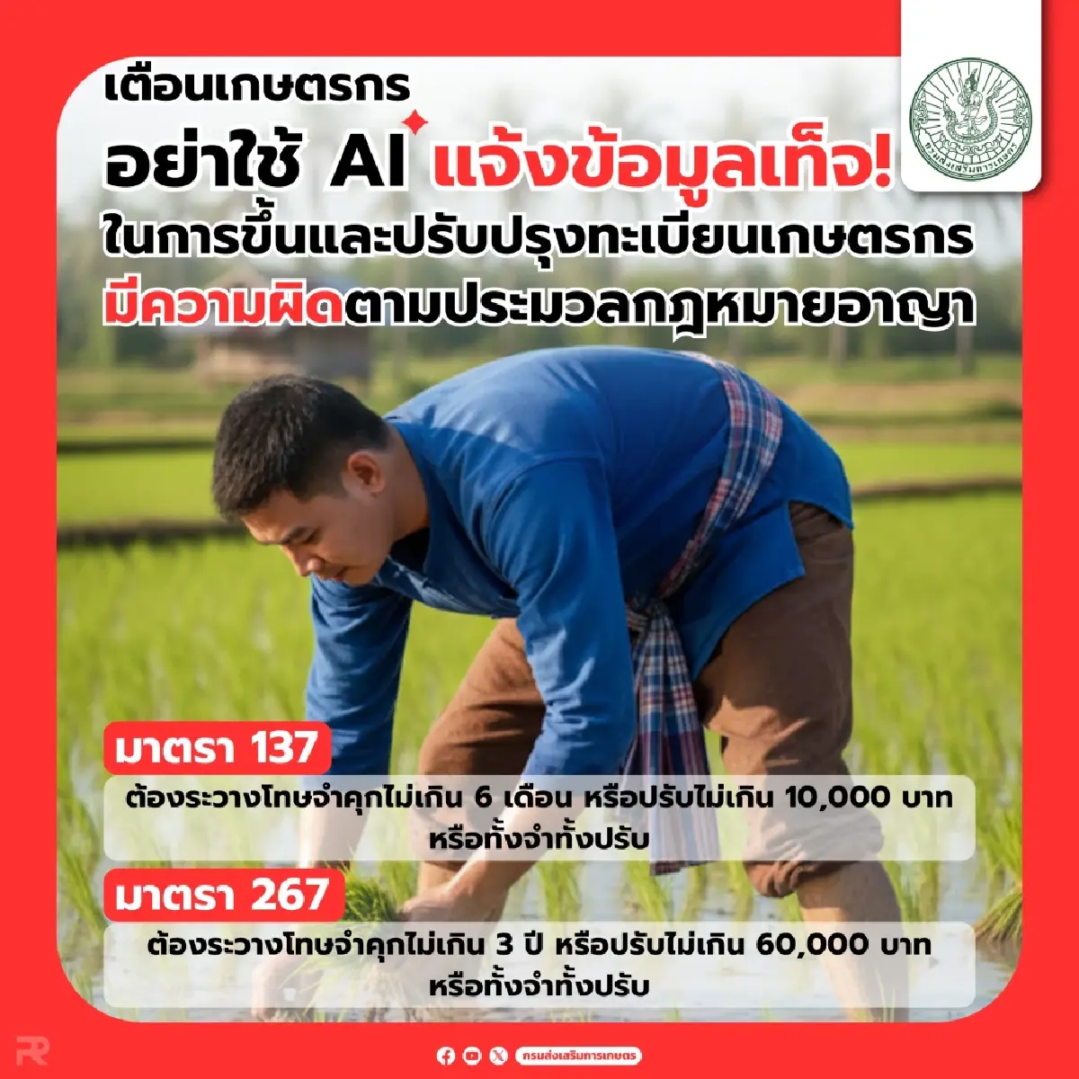 เงินเข้าแล้ว ธกส. โอนเงินช่วยเหลือชาวนา ไร่ละ 1000 สูงสุด 10000 บาท