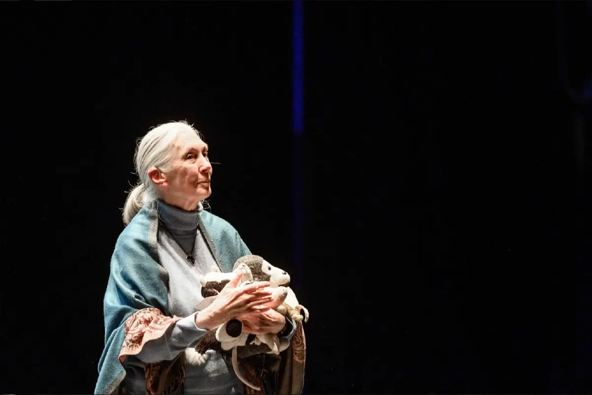 ‘เจน กูดดอลล์’ ผู้ปฏิวัติการศึกษาพฤติกรรมสัตว์ สร้างความหวังการอนุรักษ์สิ่งแวดล้อม