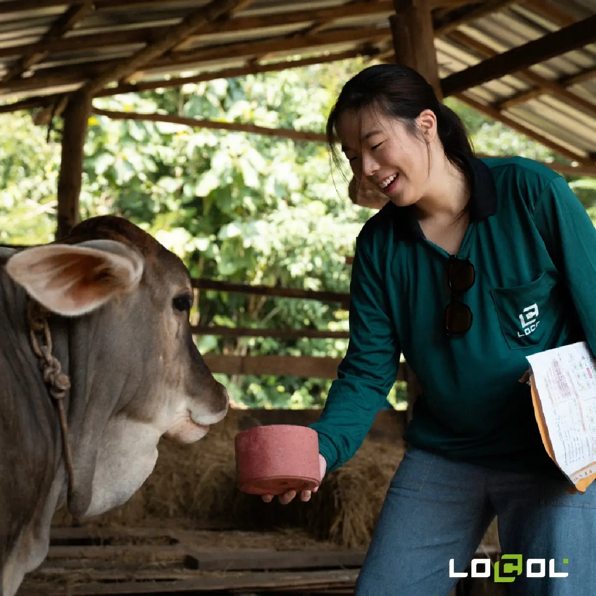 LOCOL สูตรลับผสมโกโก้ สร้างผลลัพธ์ เนื้อวัว Low Carbon