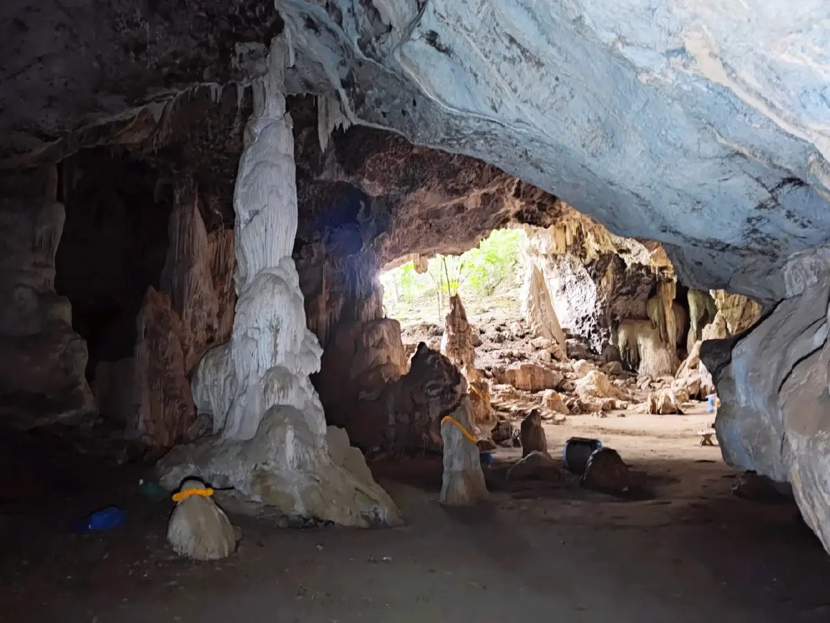 ถ้ำอะไร ...ขนาดไก่ยังหล่น