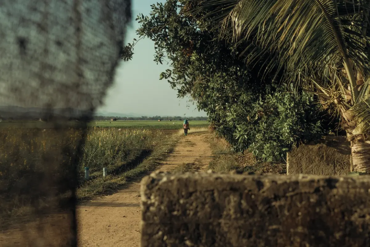 เนชั่นแนล จีโอกราฟฟิก จับมือ เป๊ปซี่โค เปิดตัวโครงการ 'Food for Tomorrow' ขับเคลื่อนเกษตรกรรมเชิงฟื้นฟู