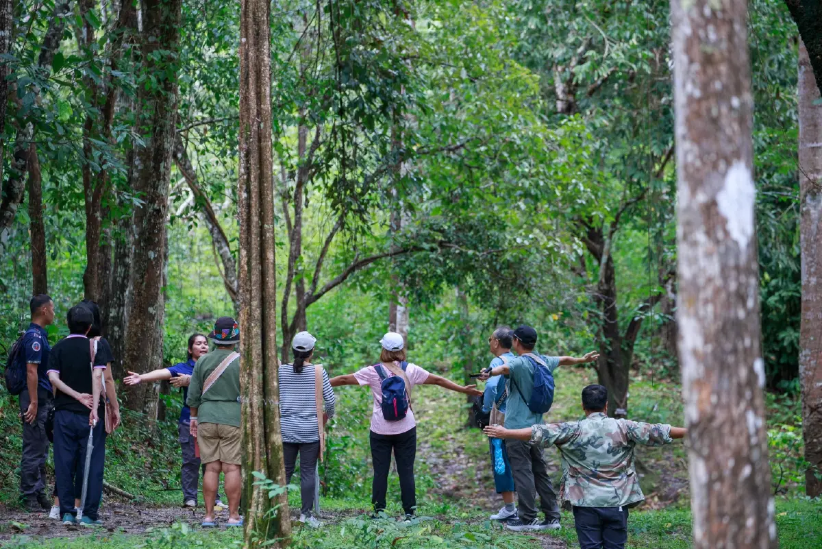 \'อาบป่า\' เทรนด์ป่าบำบัดมาแรง ชวนหยุดงาน เข้าป่าไปซ่อมใจ