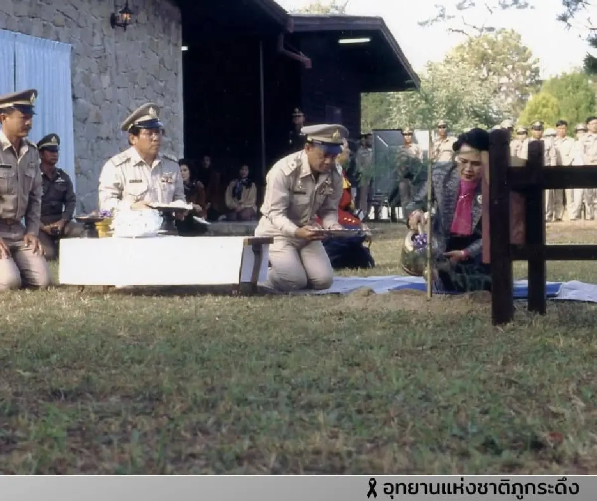 ตามรอย ต้นสนสามพันปี บนยอดภูกระดึง พระราชปณิธานสีเขียว 'สมเด็จพระพันปีหลวง'