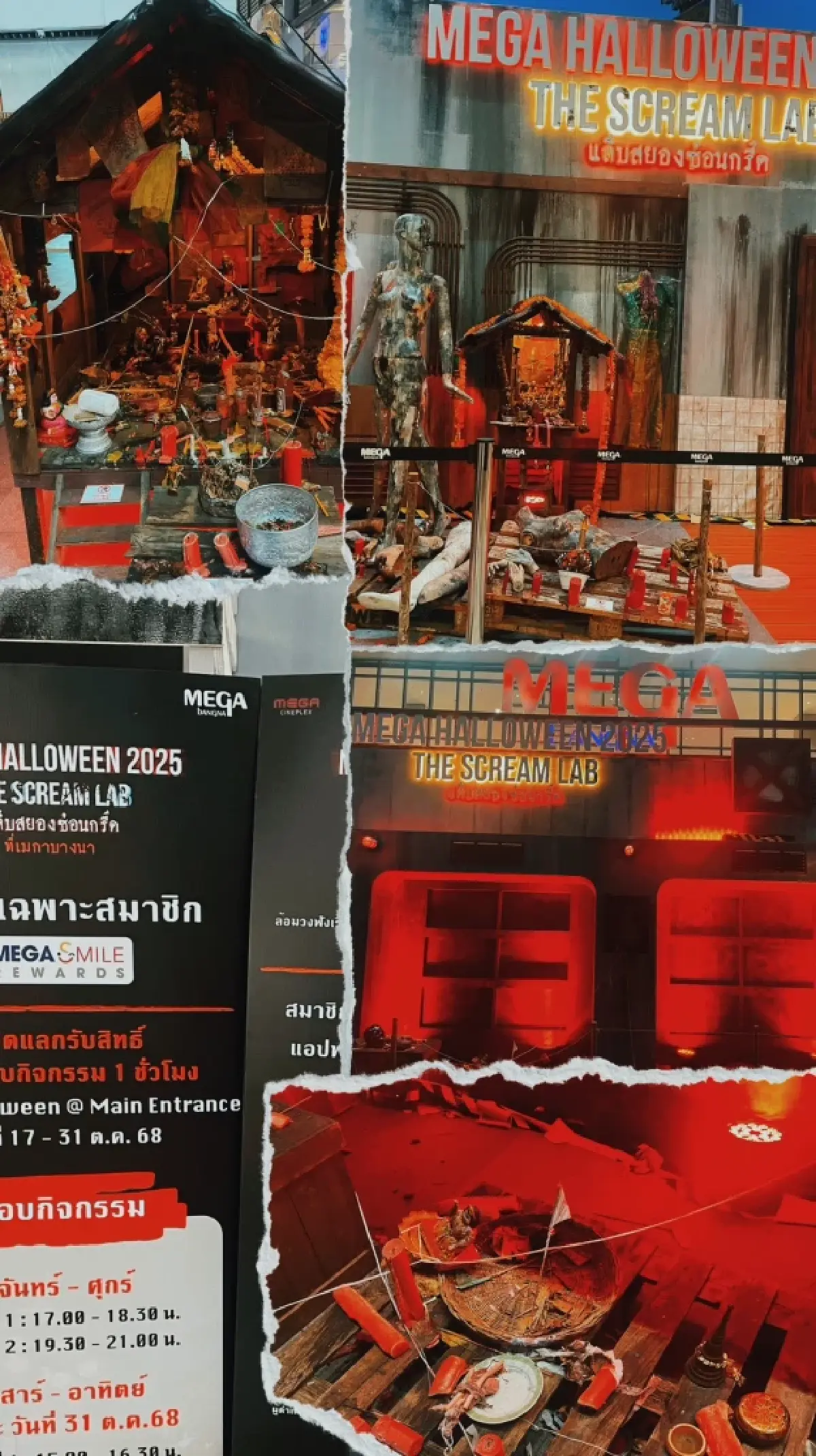 ฮาโลวีน 2025 เตรียมหลอนให้สุด! แจกพิกัดคาเฟ่-นิทรรศการ สัมผัสบรรยากาศชวนขนหัวลุก