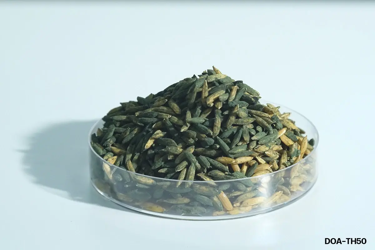 กรมวิชาการเกษตร เปิด 3 ปุ๋ยตัวท็อป เอกชนลุยผลิตเชิงพาณิชย์  ​​​​​​​​​​​​​​​​