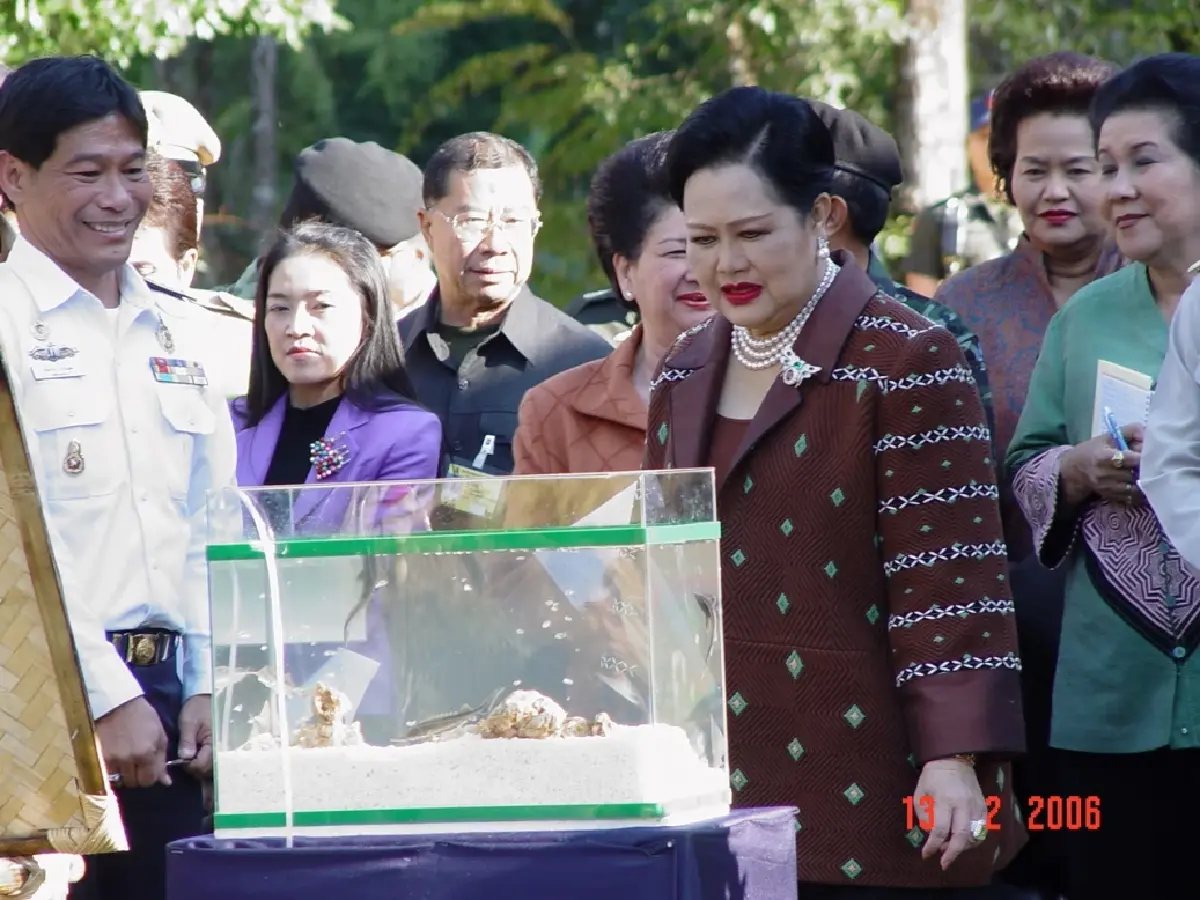 สมเด็จพระพันปีหลวง : คาเวียร์  ทรงสร้างอาชีพบนดอยสูงสู่ตำรับสากล