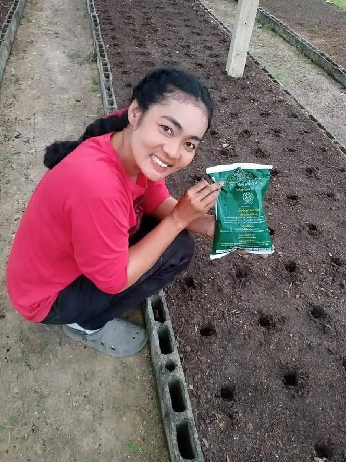 กรมวิชาการเกษตร เปิด 3 ปุ๋ยตัวท็อป เอกชนลุยผลิตเชิงพาณิชย์  ​​​​​​​​​​​​​​​​