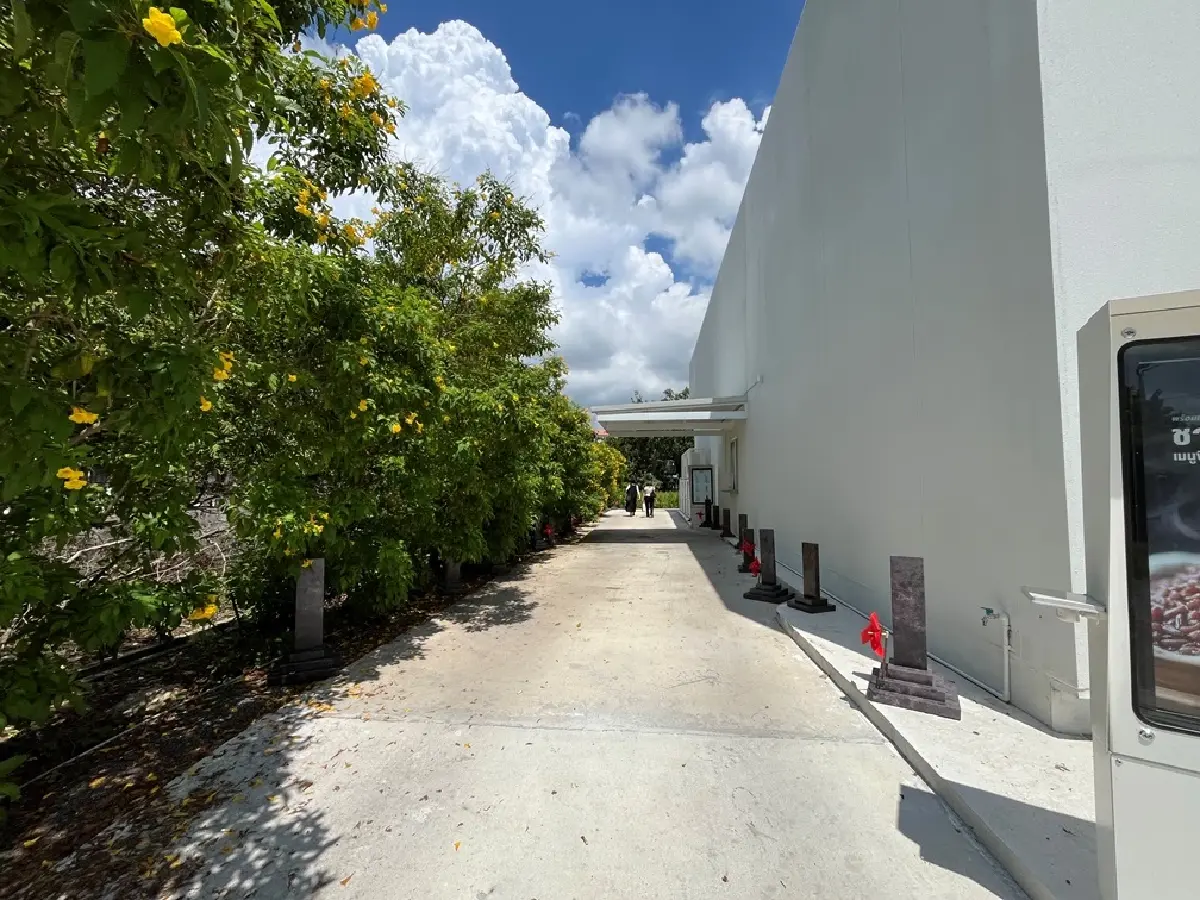 Nose Tea แปลงโฉมสาขาบางแสนด้วยลายเส้นมังงะสยองขวัญ Junji Ito