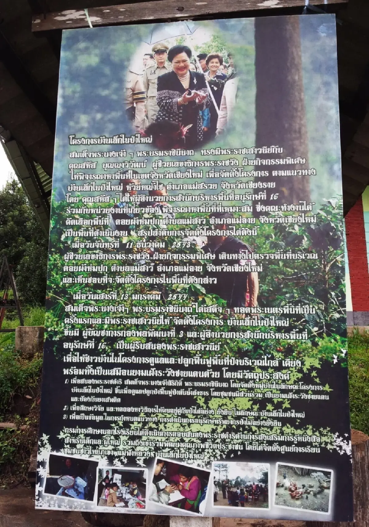 บ้านเล็กในป่าใหญ่ ฟ้าห่มปก เมื่อฟ้าปกเกล้าชาวไทยภูเขา