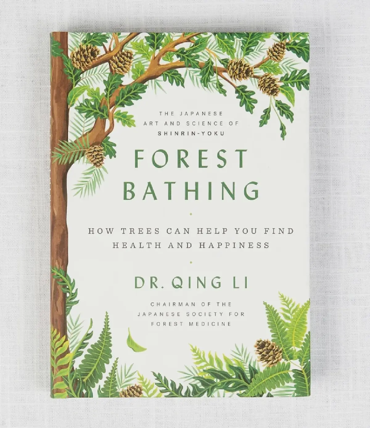 \'อาบป่า\' เทรนด์ป่าบำบัดมาแรง ชวนหยุดงาน เข้าป่าไปซ่อมใจ