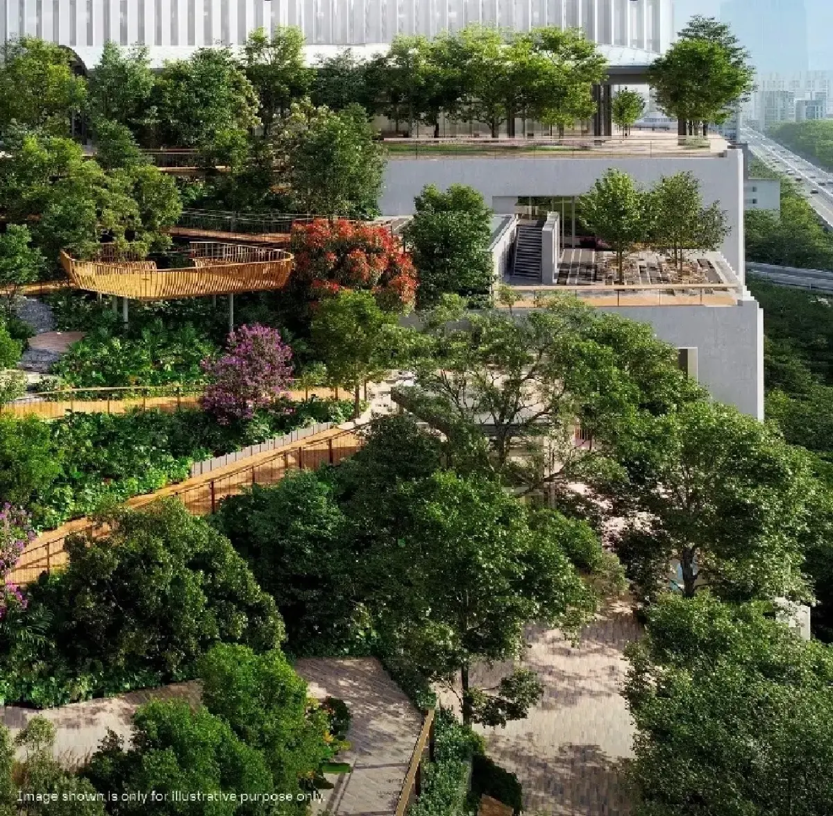 สวนพักใจในกรุงเทพ สุนทรียะที่มีต้นไม้ใหญ่ให้พิงหลัง