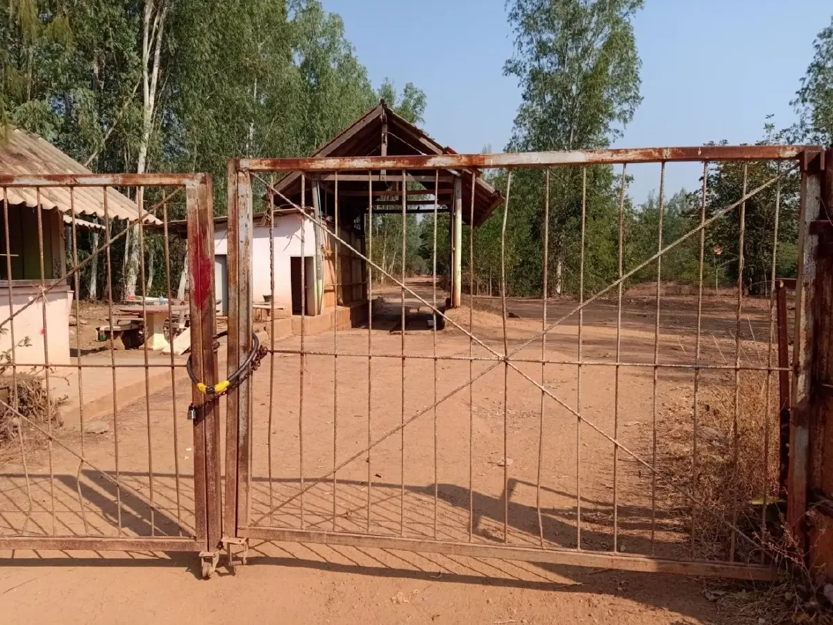 คุก 4 ปี 1 เดือน 'ปารีณา' คดีครอบครองที่ป่า - ยื่น 1 ล้านได้ประกันตัว