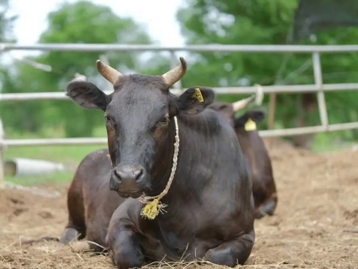ARDA จัดKick-off App Tech Connect  คัดงานวิจัยต่อยอดขยายผลสู่เกษตรกร