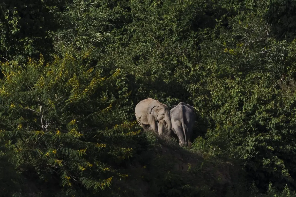 ชุมชนต้นแบบ 'ประจวบคีรีขันธ์' พลิกการอนุรักษ์สู่เศรษฐกิจที่ยั่งยืน