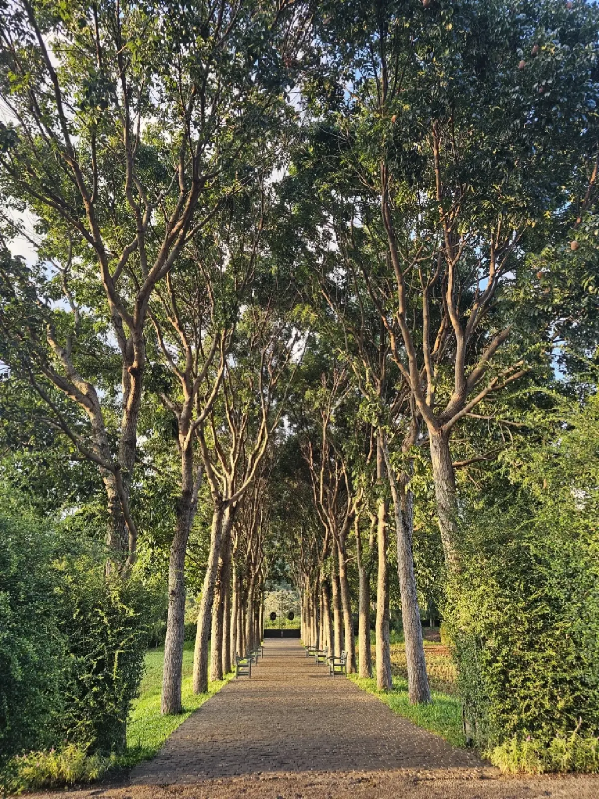 ‘Maison Mystique’ พระราชวัง แห่งจินตนาการ ท่ามกลางขุนเขา