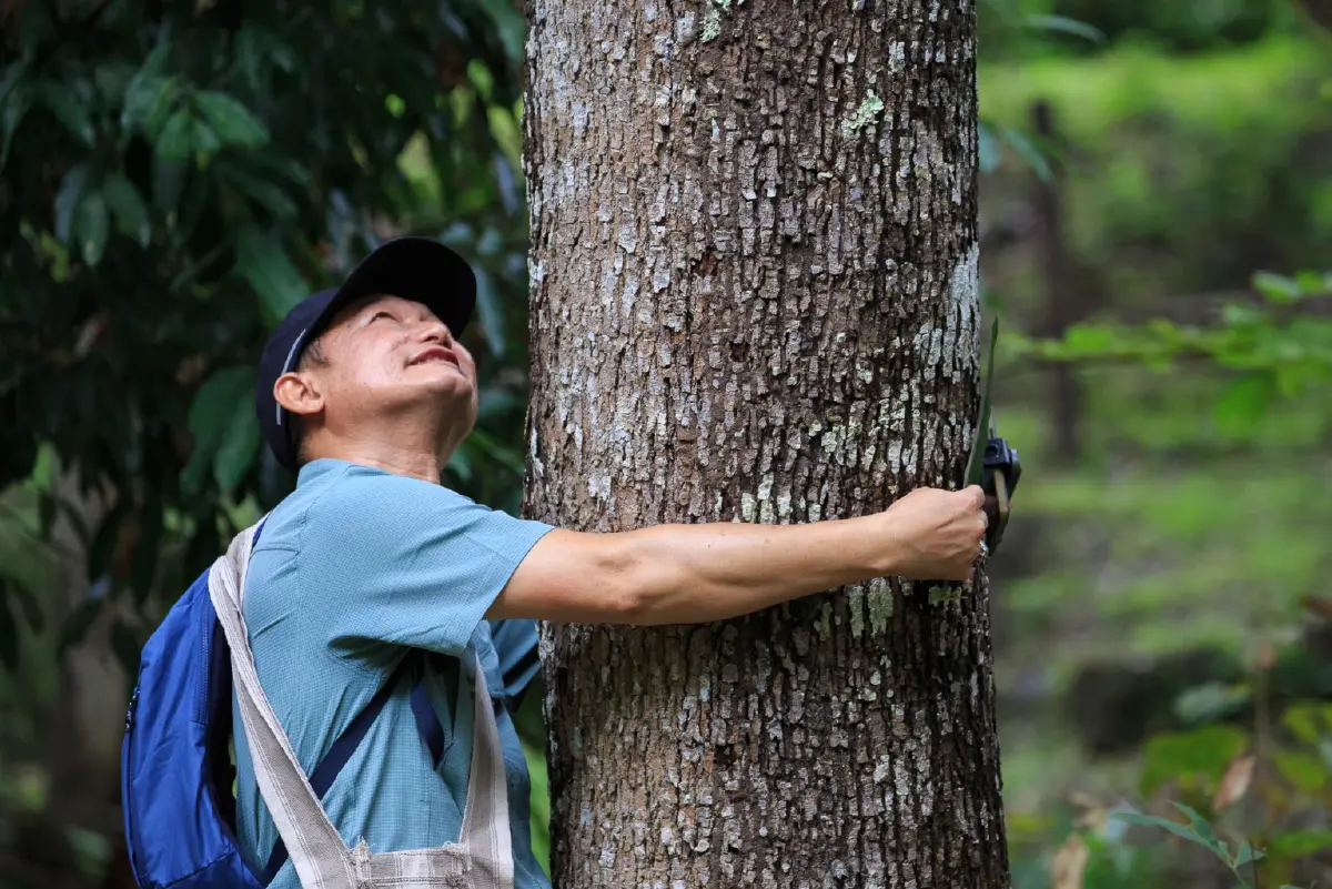 \'อาบป่า\' เทรนด์ป่าบำบัดมาแรง ชวนหยุดงาน เข้าป่าไปซ่อมใจ