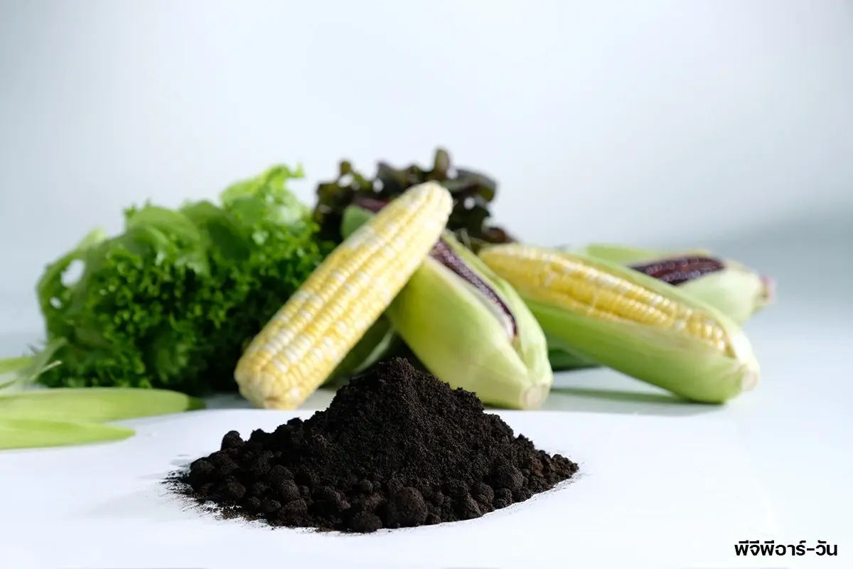 กรมวิชาการเกษตร เปิด 3 ปุ๋ยตัวท็อป เอกชนลุยผลิตเชิงพาณิชย์  ​​​​​​​​​​​​​​​​