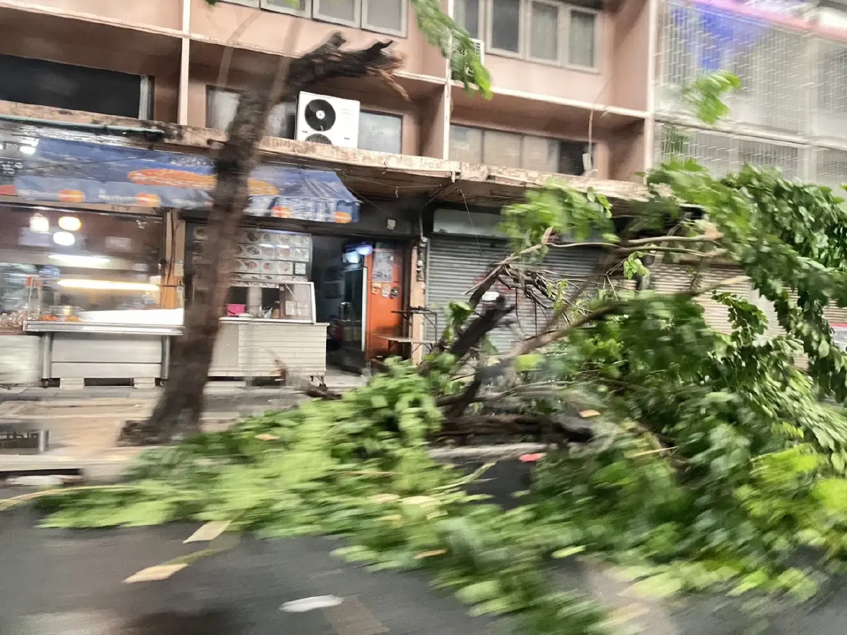 กรุงเทพฝนตกหนัก ลมแรง มีน้ำท่วม ต้นไม้ล้มหลายจุด ขวางถนน 3 สายหลัก