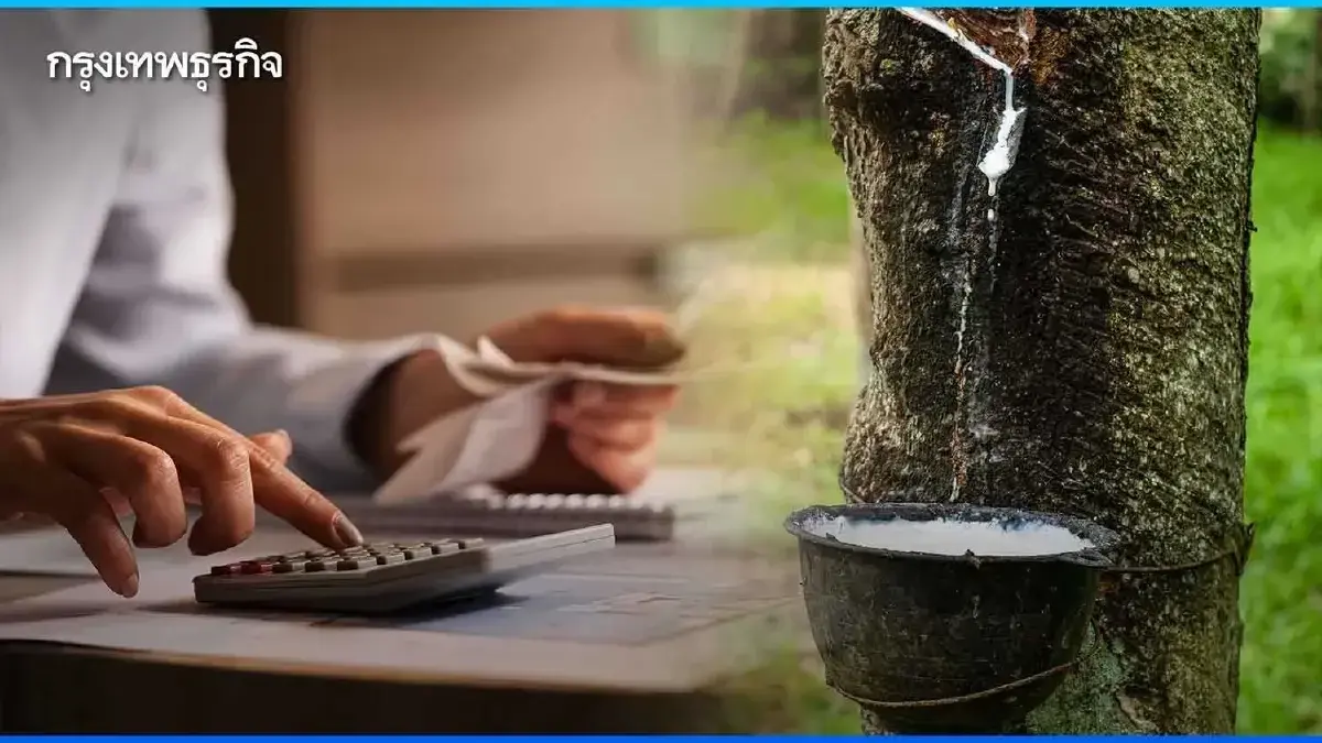 ใครได้บ้าง แจกเงินเกษตรกร ชาวสวนยาง เงินไร่ละ 20,000 บาท ยื่นด่วน
